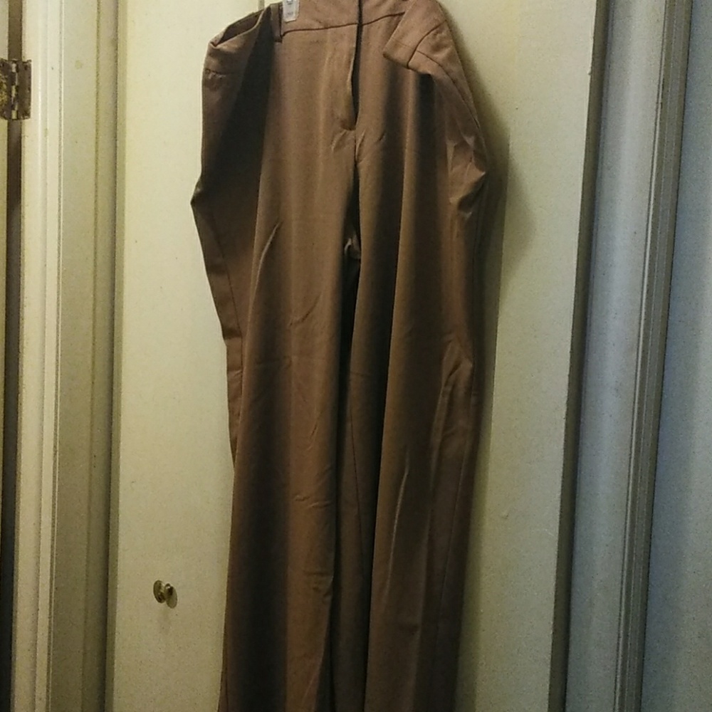 Dress pants